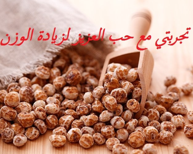 تجربتي مع حب العزيز لزيادة الوزن