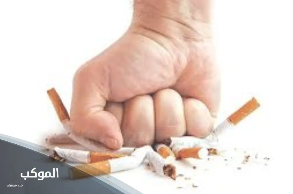 IMG 20240717 105510 179