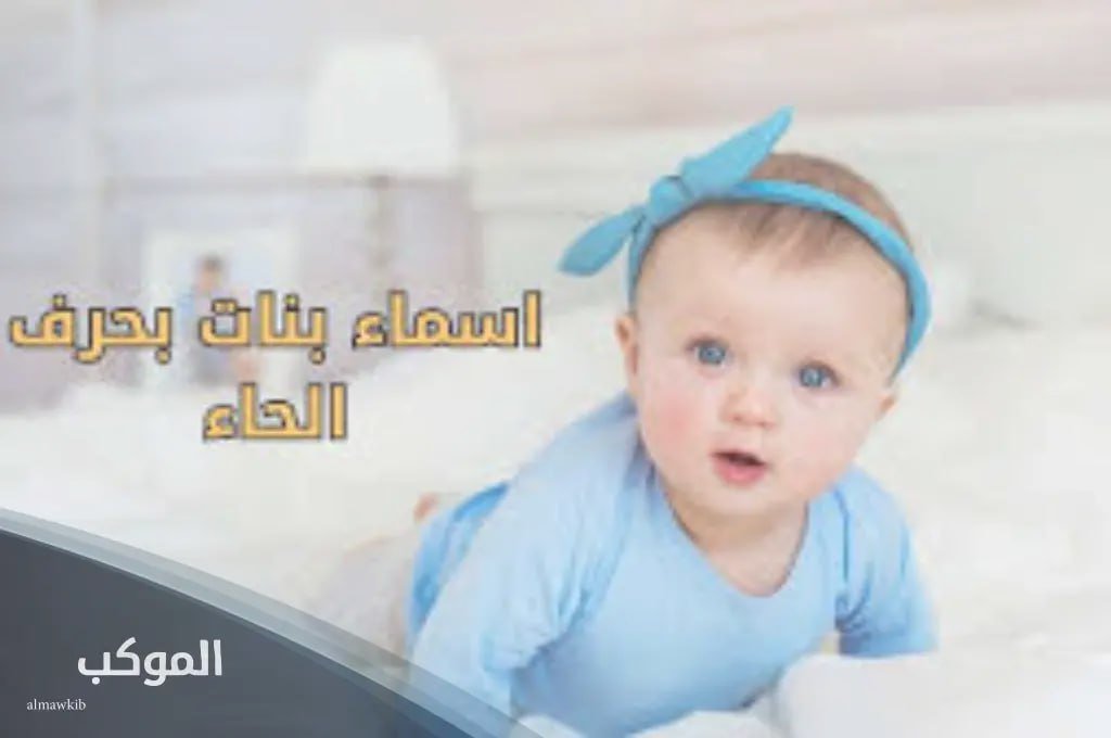 IMG 20240717 105510 235