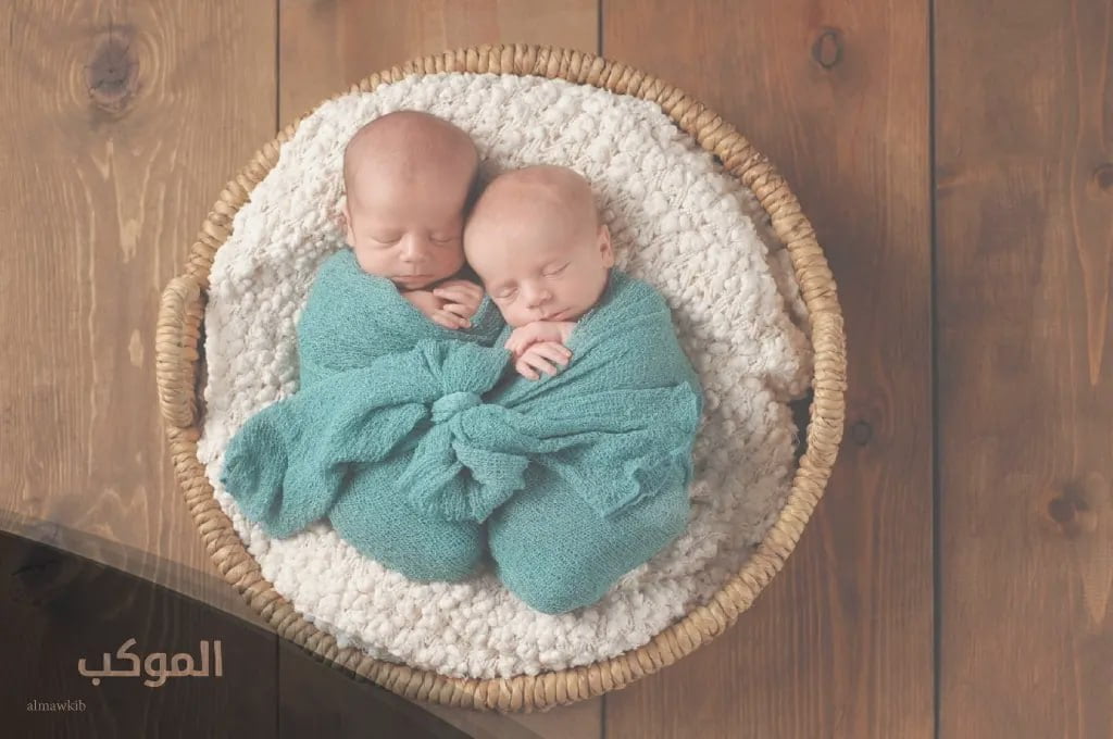 IMG 20240718 092755 530