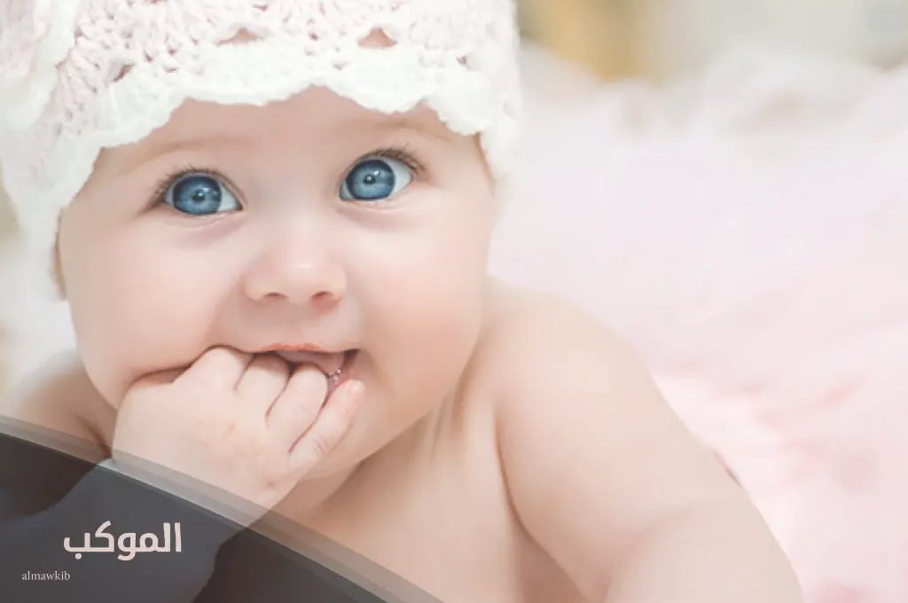 IMG 20240722 165259 636