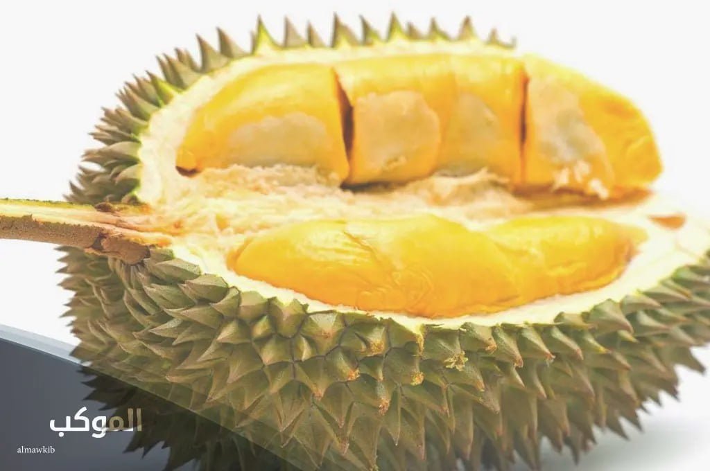 اسم فاكهه بحرف الدال 10 فواكة تبدأ بحرف د 5 فواكه بحرف الدال د