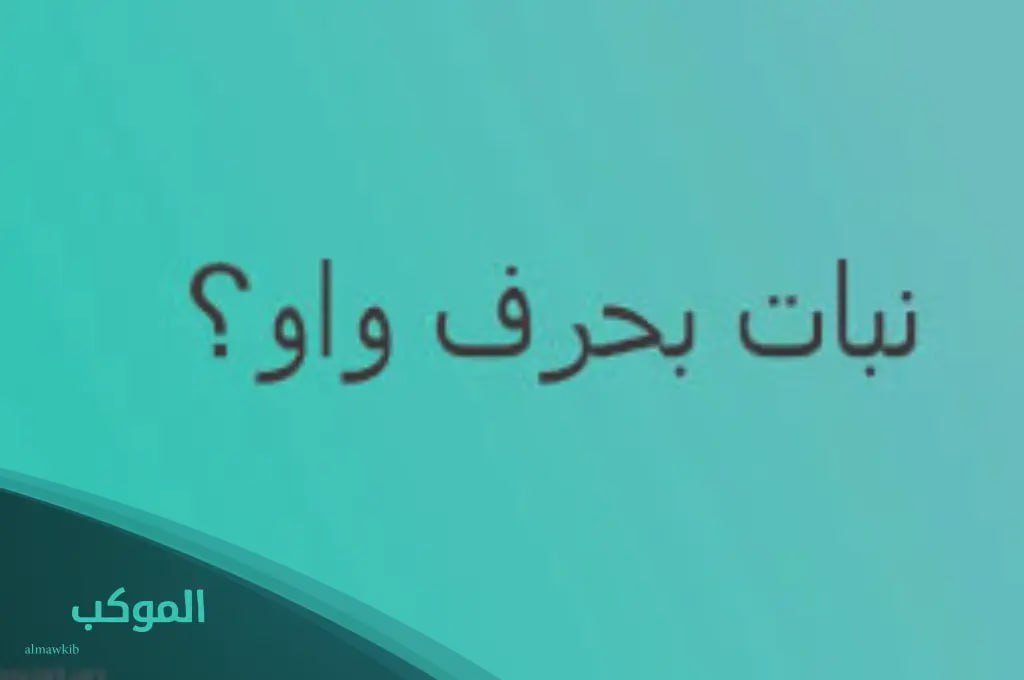 IMG 20240725 070307 150