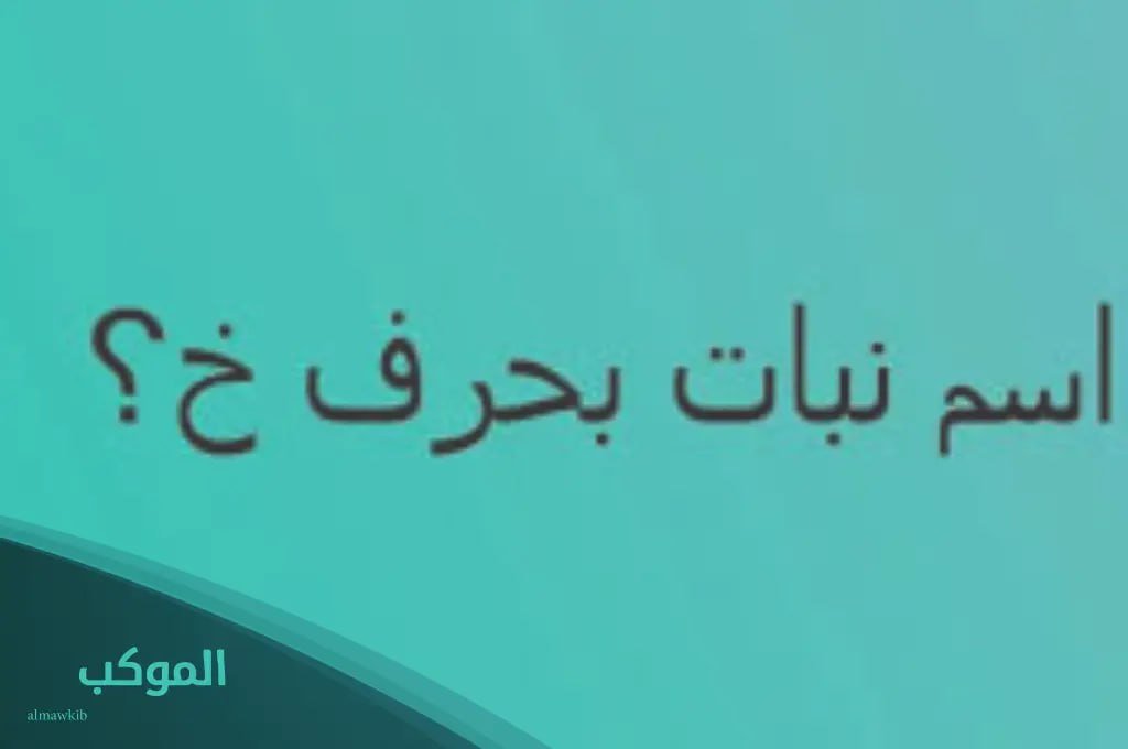 IMG 20240725 070307 218