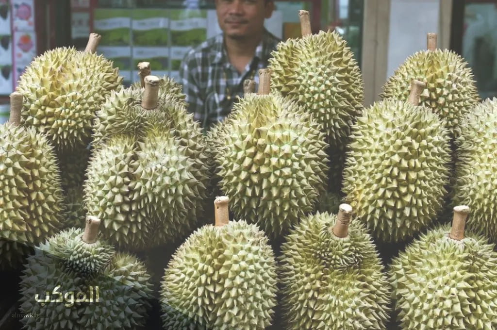 IMG 20240725 070307 584