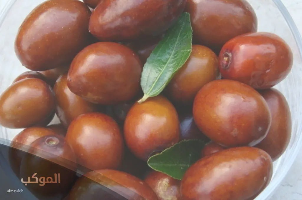 اسم فاكهه بحرف الدال 10 فواكة تبدأ بحرف د 6 فاكهة نبات بحرف الدال