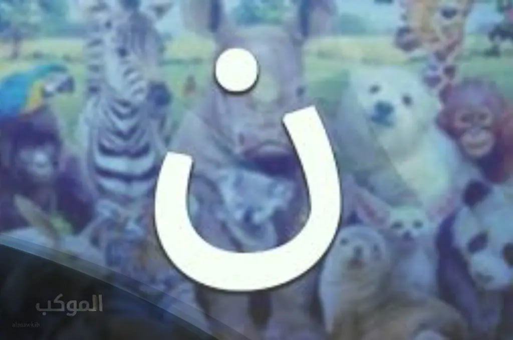 اسم بلاد بحرف ن النون | اشهر 3 مدن ودول تبدأ بحرف (ن،النون )2025 6 بلاد بحرف ن عربية