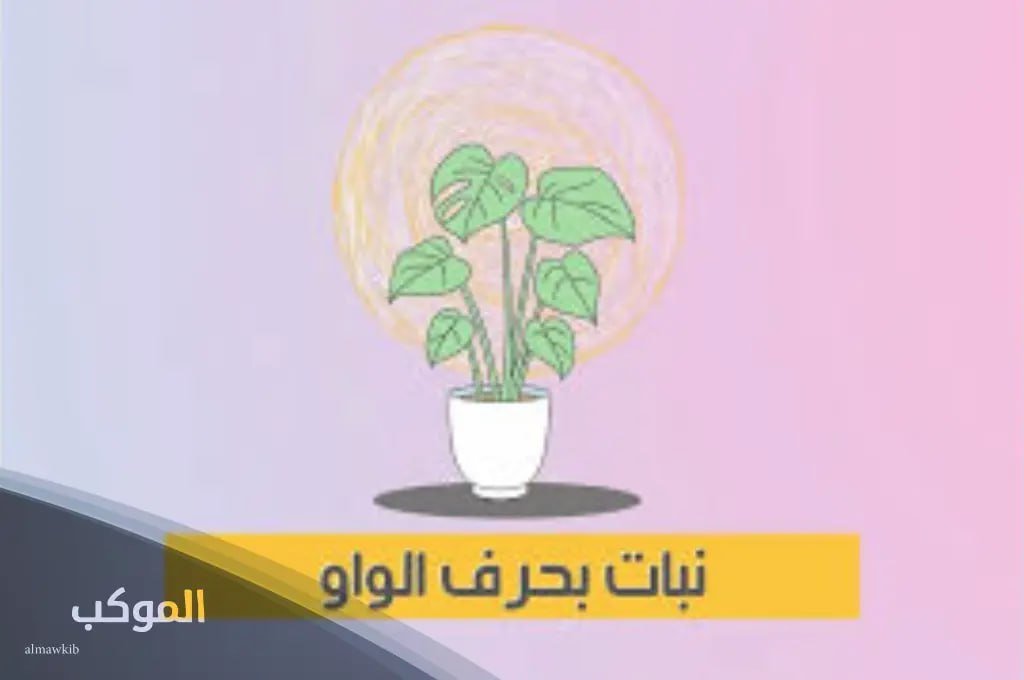 نبات بحرف ال الواو