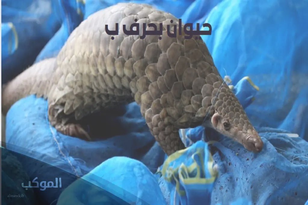 IMG 20240727 074521 263