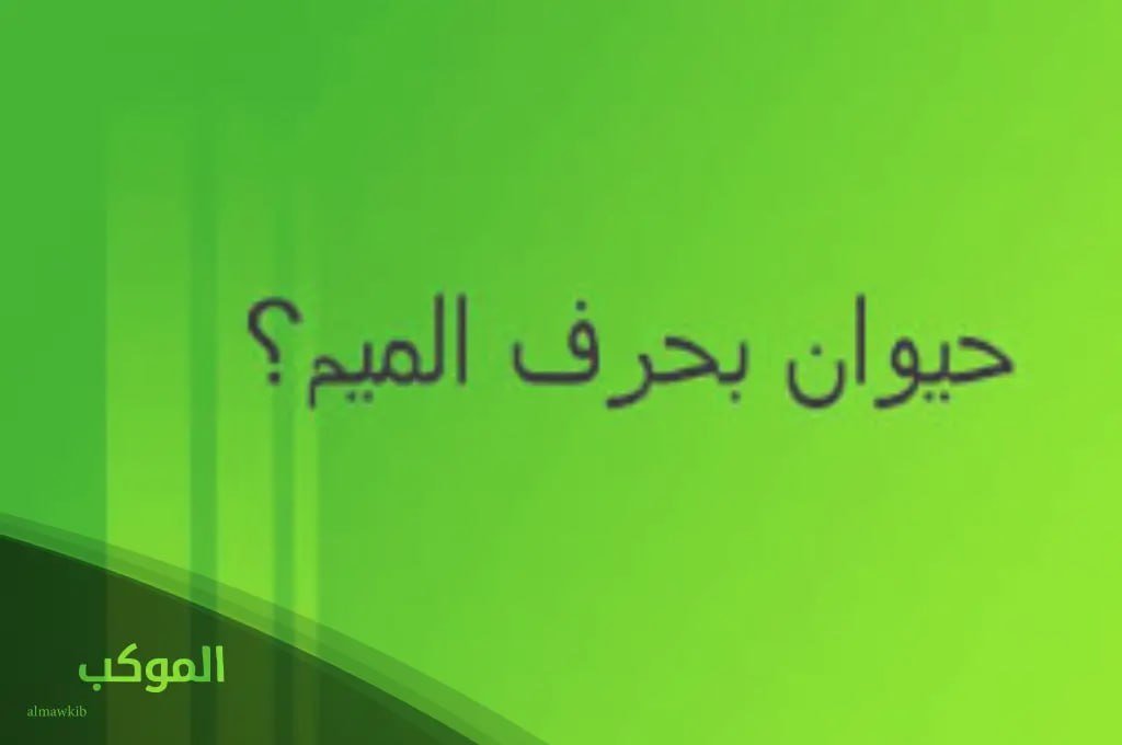 IMG 20240727 074521 685