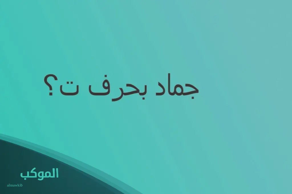 IMG 20240728 202003 443