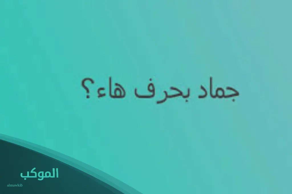 IMG 20240728 202003 740