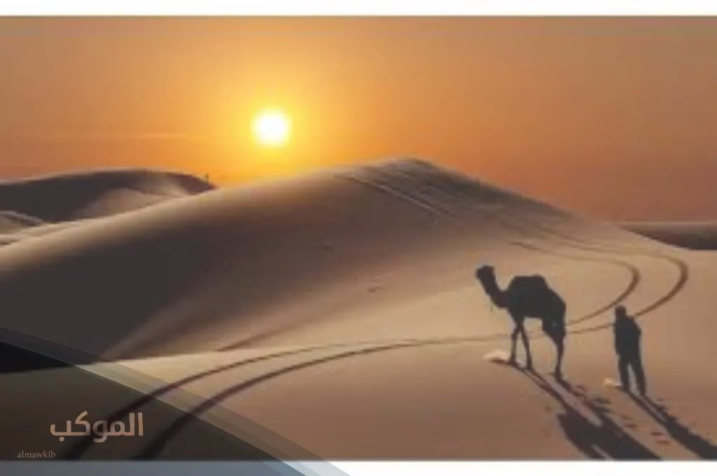 IMG 20240728 202009 365