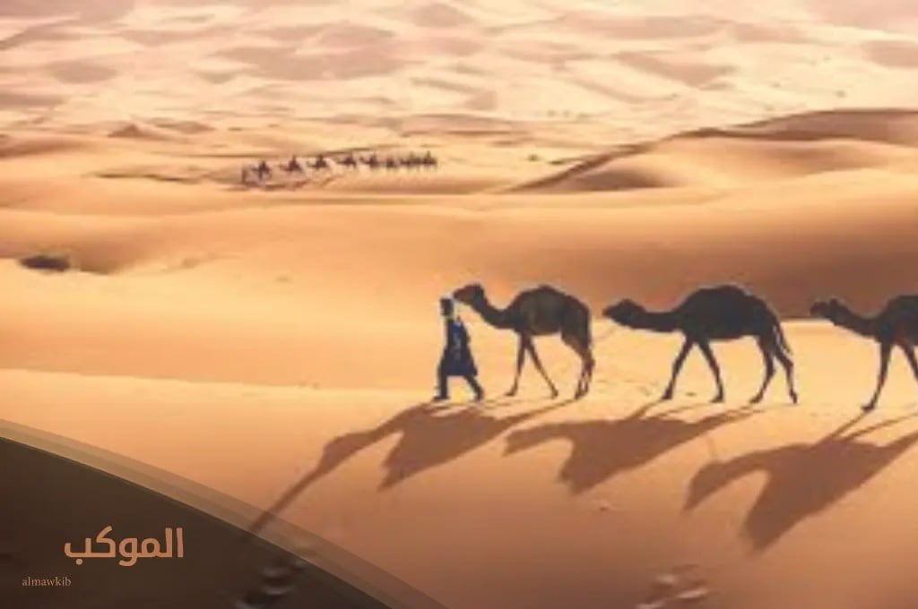 بني لام وش يرجعون.. أصل قبيلة بني لام من وين 6 العشائر القديمة لبني لام