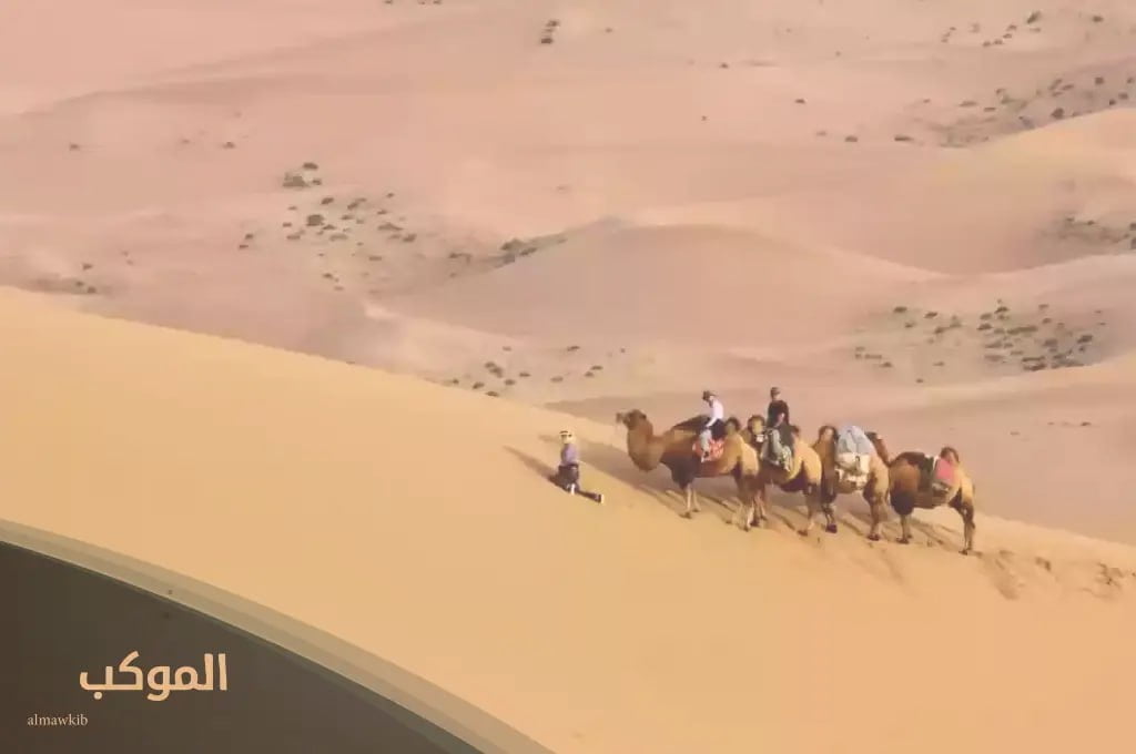 بني لام وش يرجعون.. أصل قبيلة بني لام من وين 5 أشهر الصحابة بقبيلة بني لام