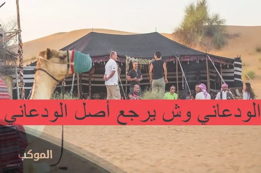 IMG 20240730 161215 271