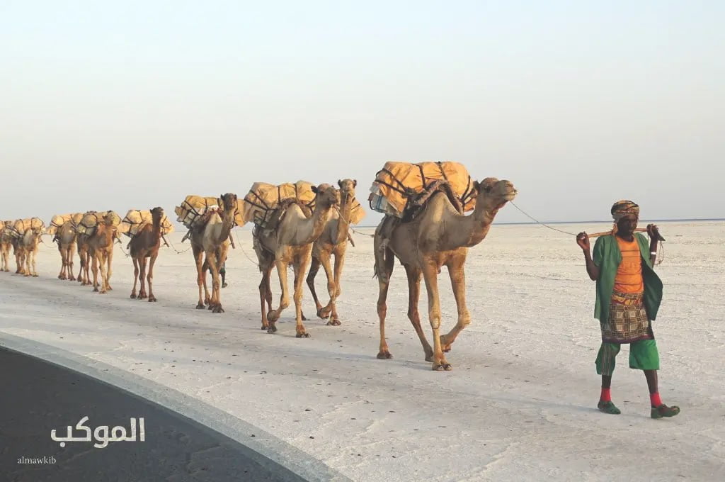 المعارك التي خاضتها قبيلة زهران 702