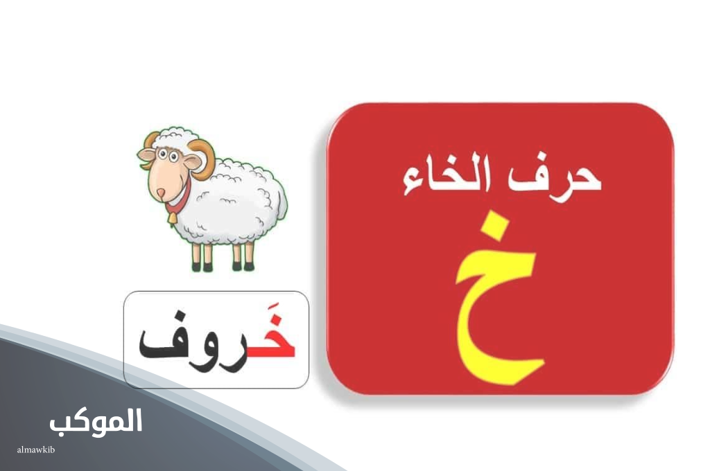 اسم حيوان بحرف خ الخاء 6 حيوان بحرف الخاء من ثلاث حروف