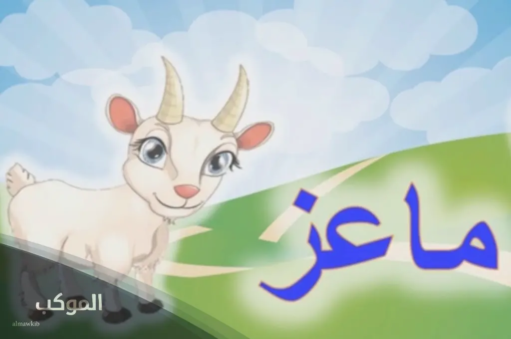 اسماء حيوانات بحرف م الميم من أربع حروف