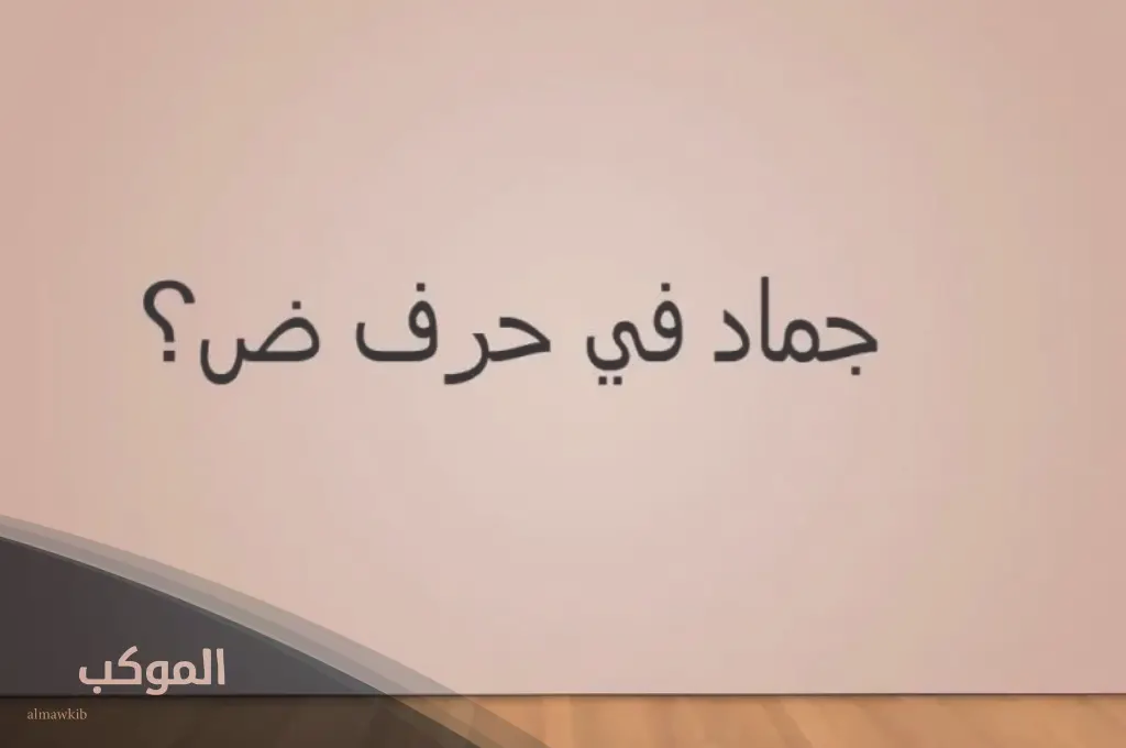 أسماء جماد بحرف الضاد من ثلاث حروف