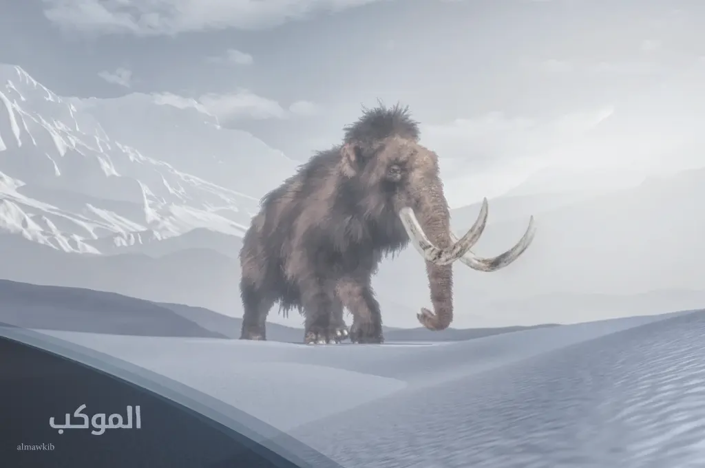 اسماء حيوانات بحرف م الميم من ثلاثة حروف