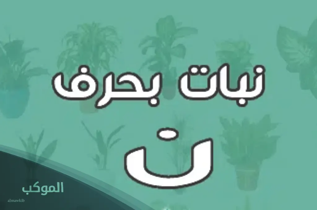 أسماء نباتات معروفة بحرف ن النون