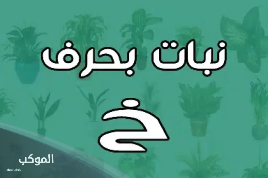 أشهر نبات بحرف الخاء