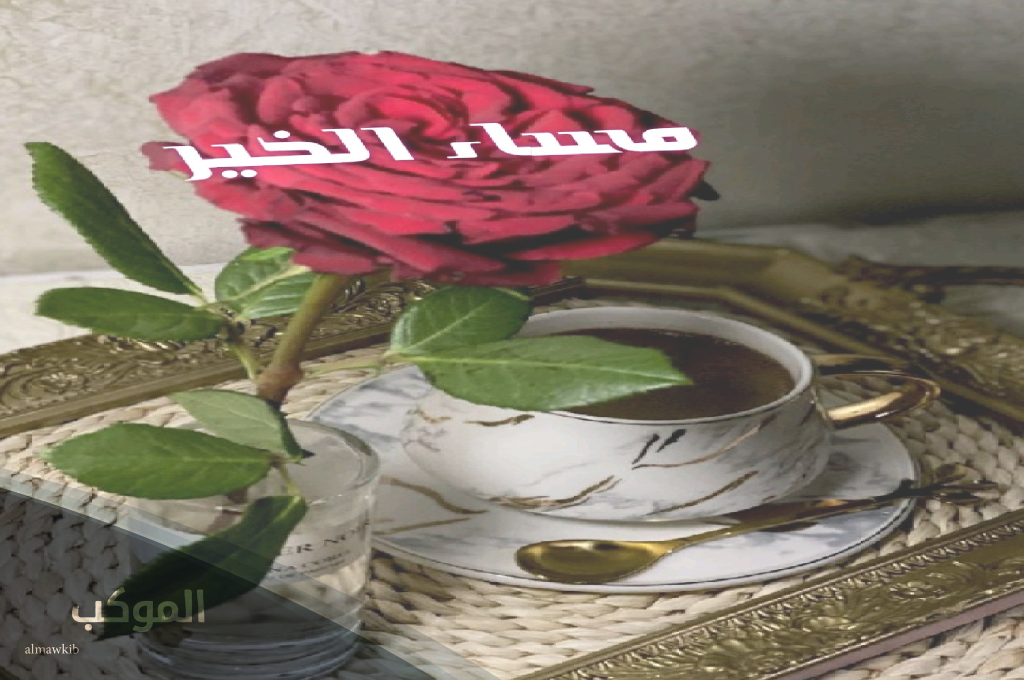 أفضل رد على مساء الخير 2