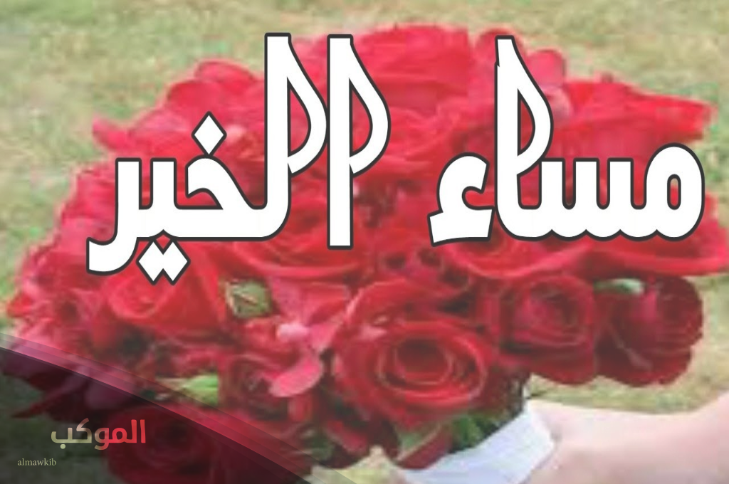 شعر رد على مساء الخير