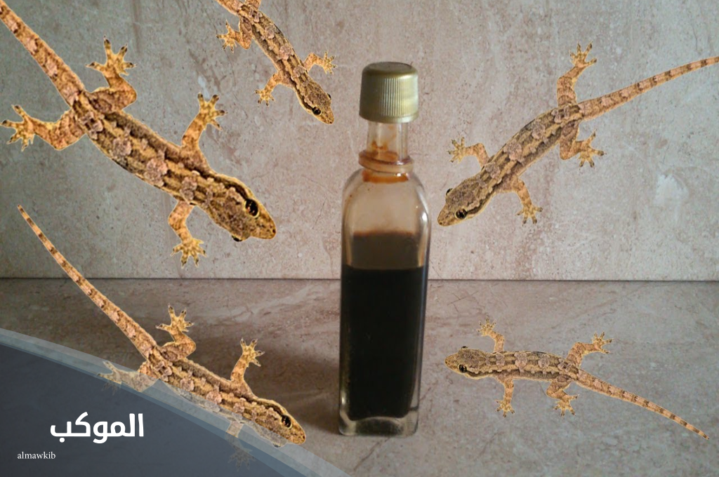 دعاء طرد الوزغ من المنزل مكتوب 6 دعاء طرد الوزغ من المنزل