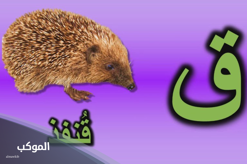 اسم حيوان بحرف ق