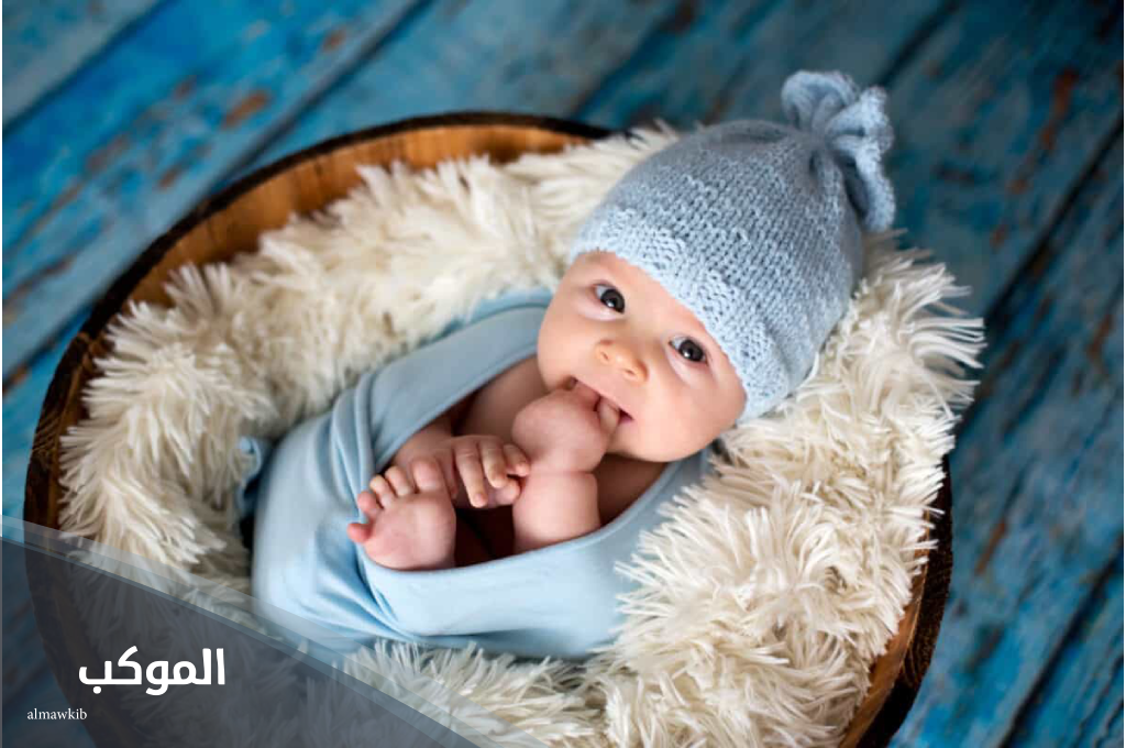 اسماء اولاد بحرف د