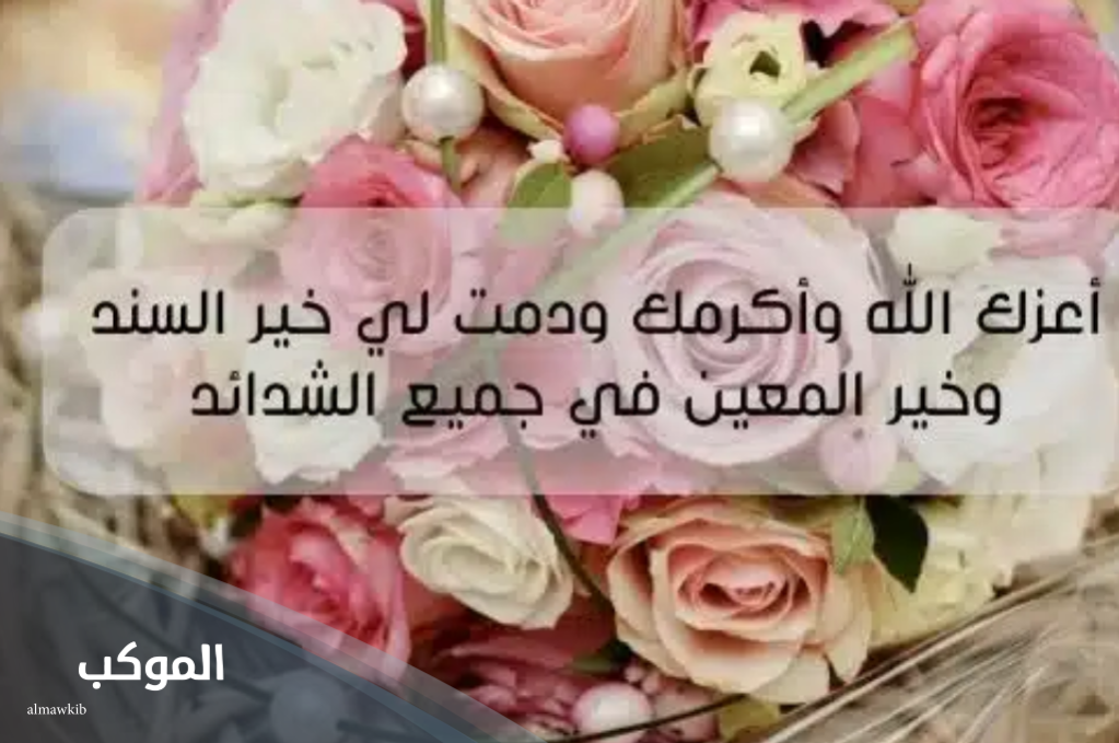 الرد على معوضه خير ياقلبي