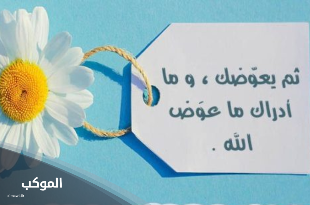 الرد على معوض خير العوض براسك