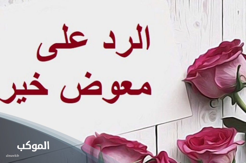 الرد على كلمة معوض خير