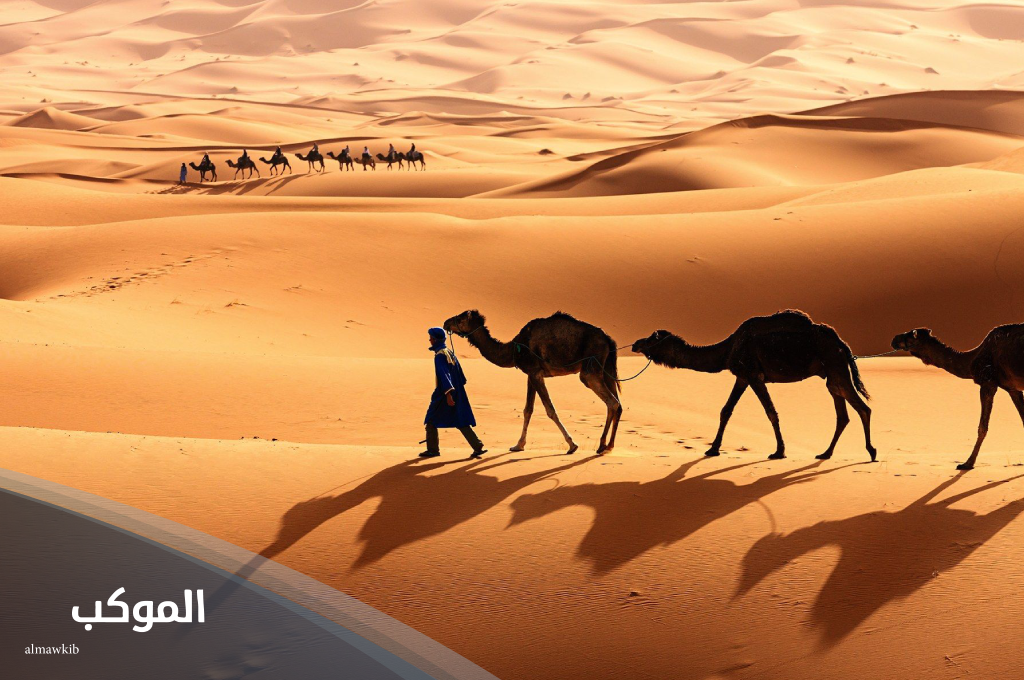 عائلة الزعبي في السعودية