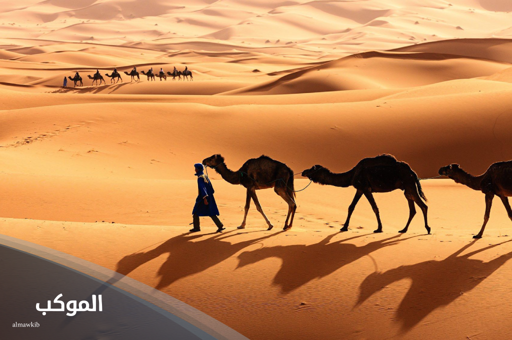 السعدي وش يرجع.. أصل قبيلة السعدي من وين 6 فرع قبيلة السعدي في فلسطين