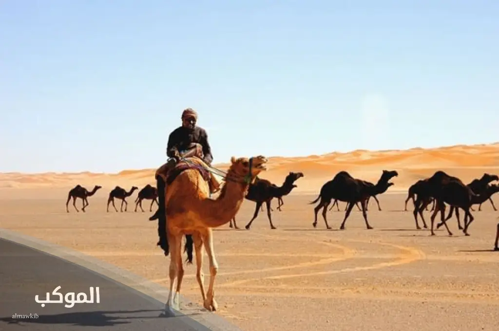 الراشد وش يرجعون .. قبيلة الراشد وش ترجع بالأصل والنسب 5 عائلة الراشد من أي قبيلة