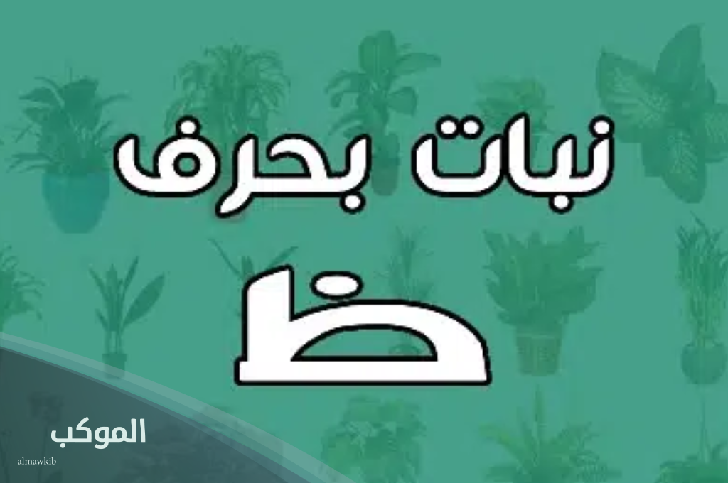 أشهر نبات بحرف الظاء وشرحه 