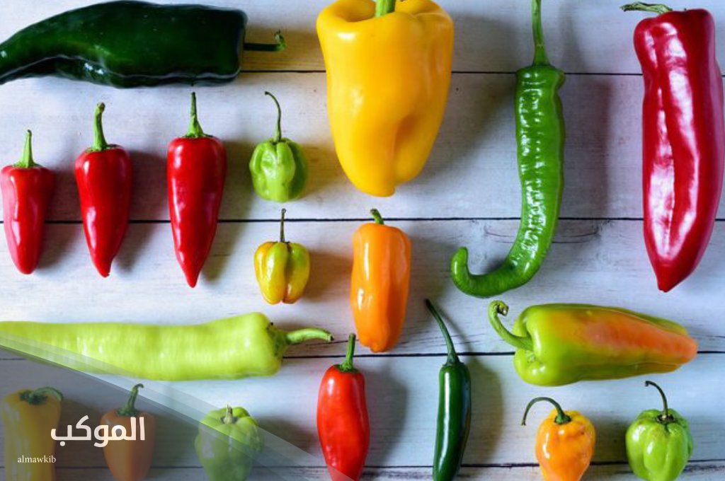 نبات بحرف الفاء ومعلومات عنه 