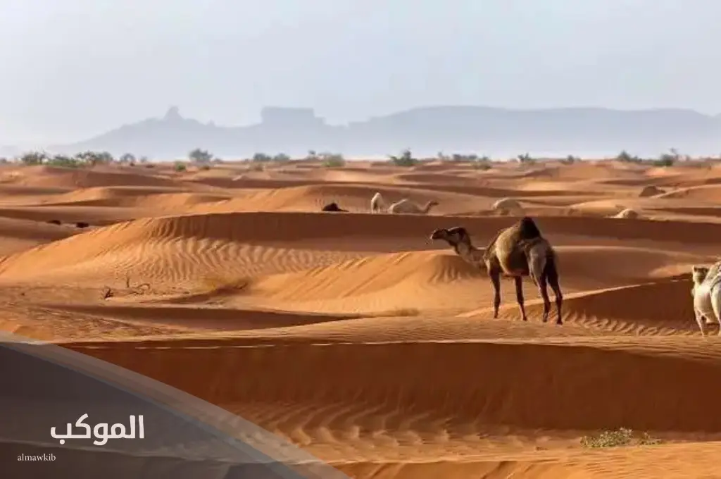 عائلة الذويبي من وين