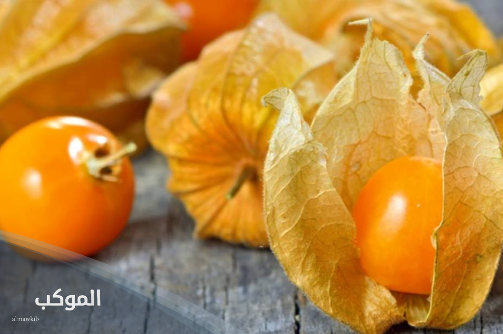 أشهر فاكهه بحرف الحاء