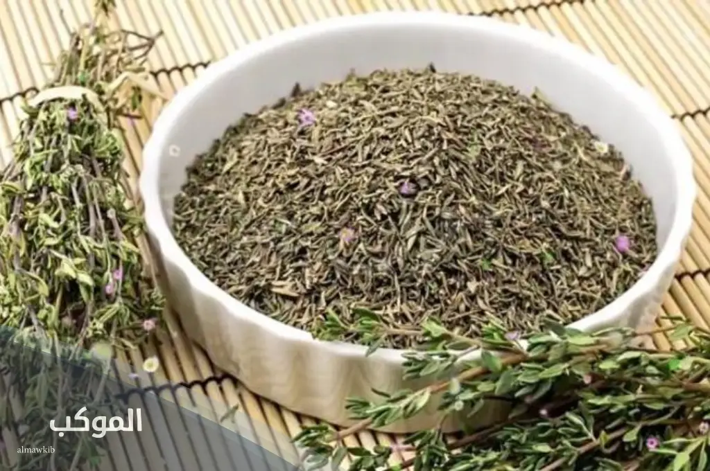 اسم نبات بحرف الزاي واشهر نباتات تبدأ بحرف ز 6 أشهر اسم نبات بحرف الزاي