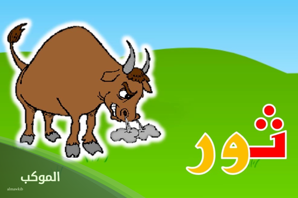 إسم حيوان بحرف ث الثاء 6 اسم حيوان بحرف ث مفترس