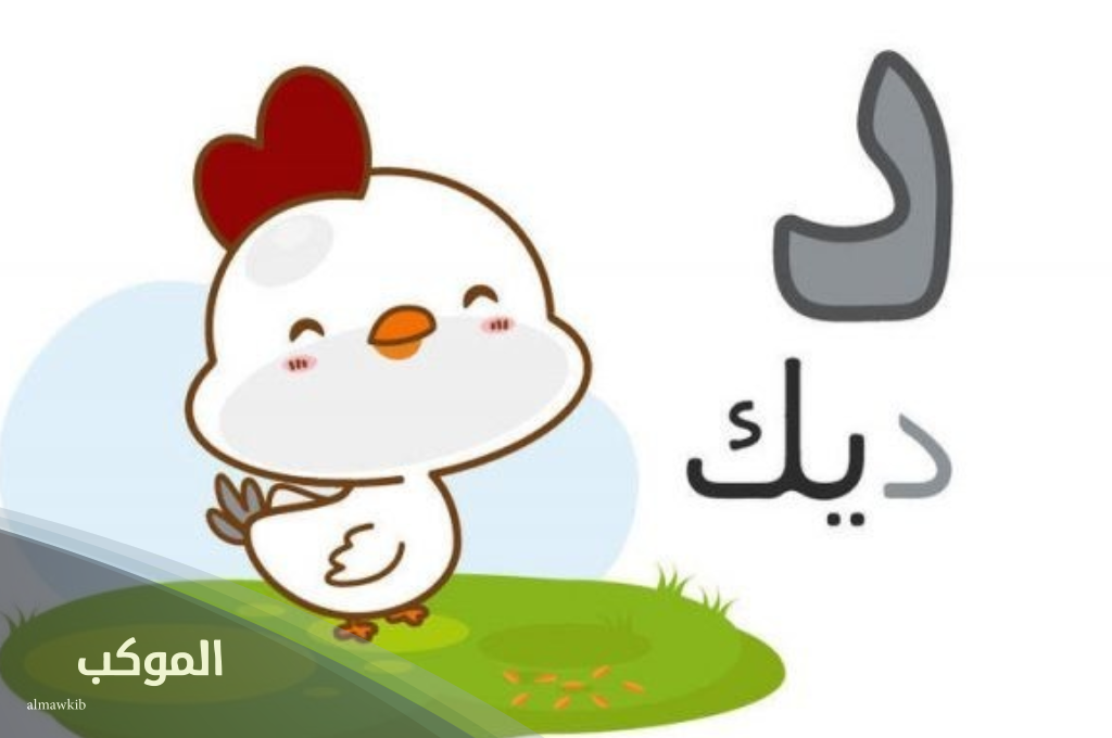 اسم حيوان بحرف د الدال 5 تعرف على اسم حيوان بحرف د