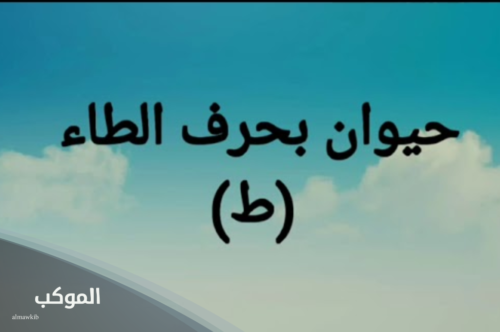 اسم حيوان بحرف الطاء (ط) 5 اسم حيوان بحرف الطاء من ثلاثة أحرف