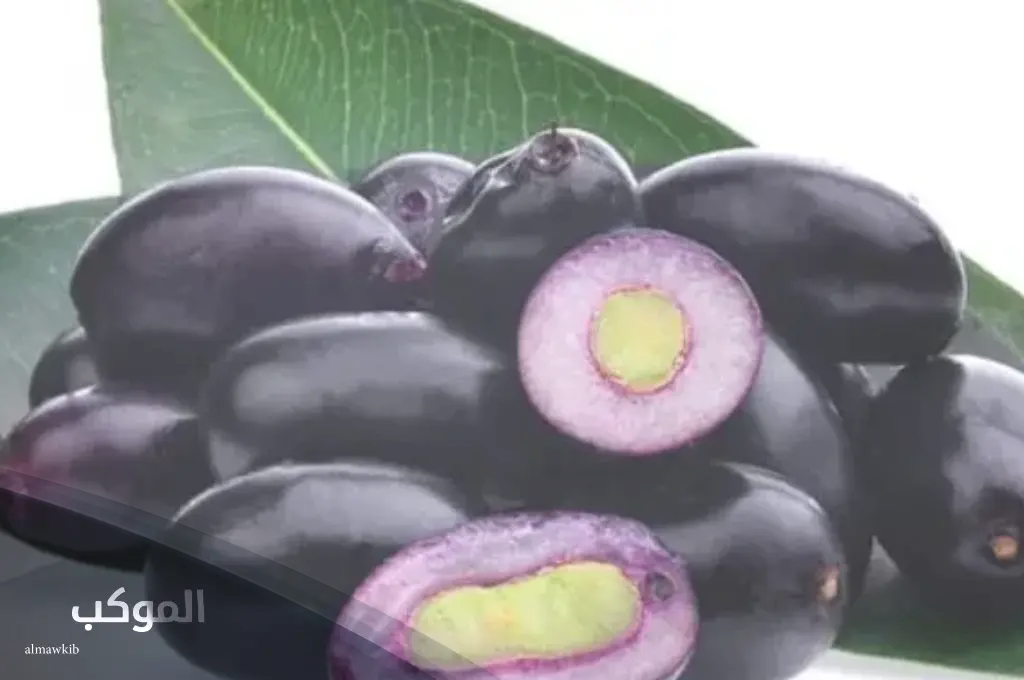 أشهر الفواكه التي تبدأ بحرف الجيم