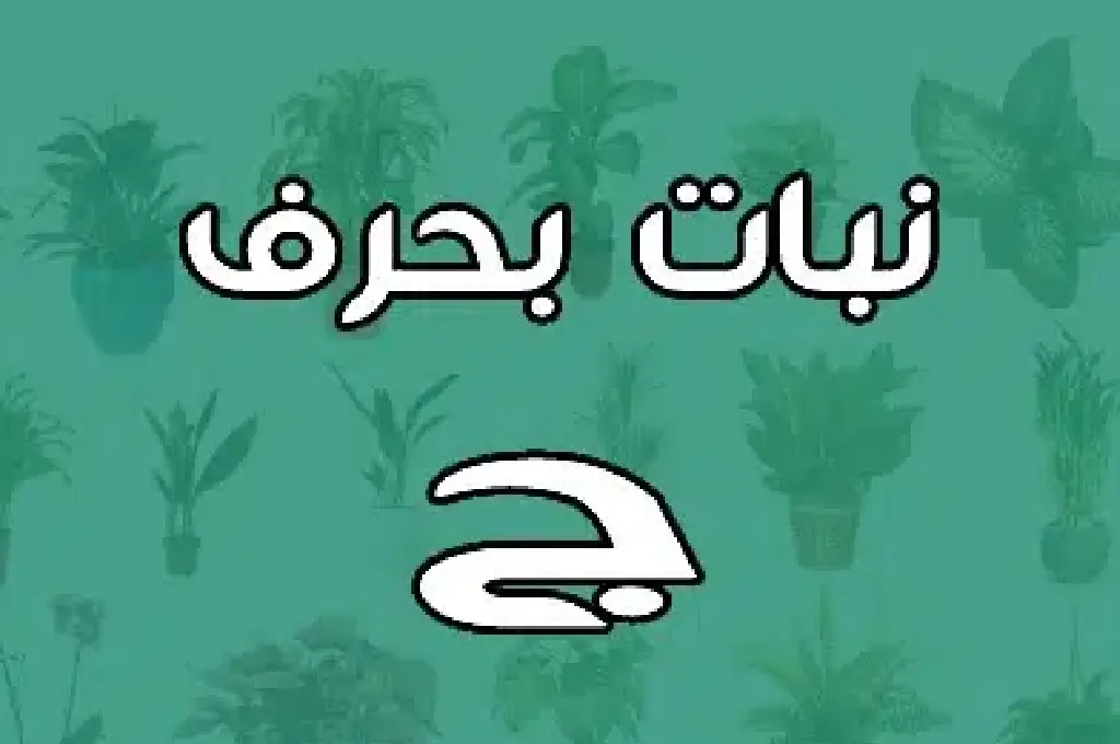 نباتات متنوعة بحرف ج