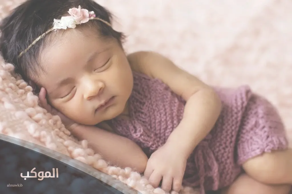 الموكب فريم 11 2