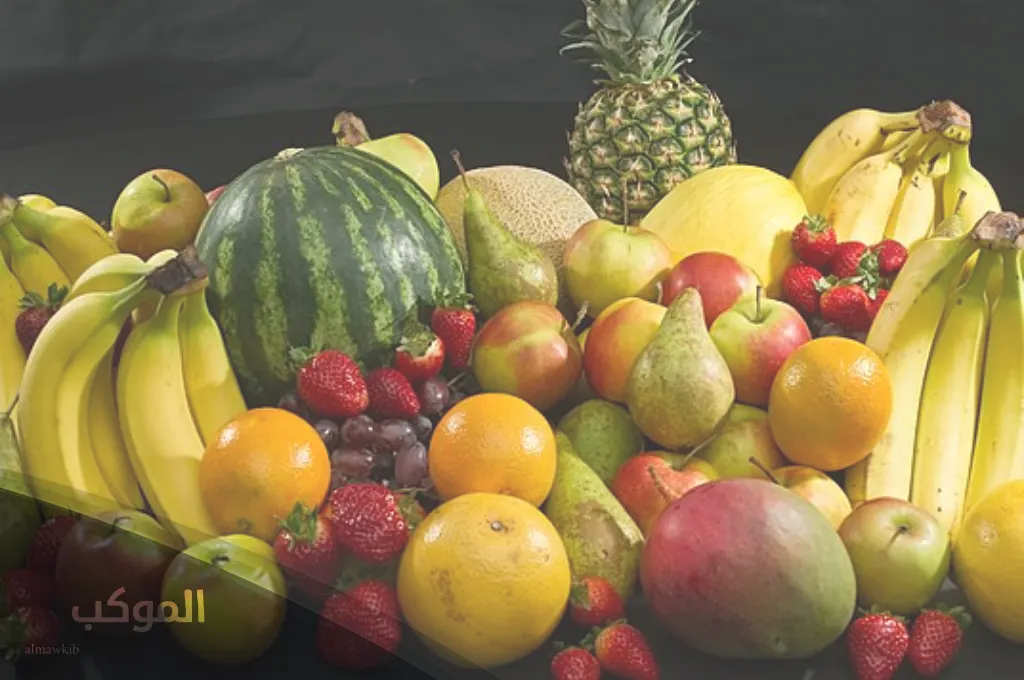 الموكب فريم 14